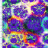 SP - NP2617 Sweet Dreams Blue Nylon Spandex Digitally Wet Print - Sportek International Inc.