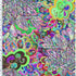 SP - NP2657 Peace Garden Nylon Spandex Digitally Wet Print - Sportek International Inc.
