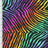 SP - NP2792 Rainbow Zibra Nylon Spandex Digitally Wet Print - Sportek International Inc.