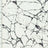 SP - NP2805 Husky Marble Nylon Spandex Digitally Wet Print - Sportek International Inc.