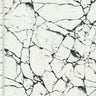 SP - NP2805 Husky Marble Nylon Spandex Digitally Wet Print - Sportek International Inc.