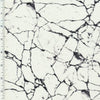 SP-NP2805 Husky Marble Nylon Spandex Digitally Wet Print