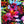SP - NP - SPT190 Neon Tropical Printed Spandex - Sportek International Inc.