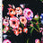 SP - NP2674 Happy Birthday Floral - Black Red Green Blue | Nylon Spandex Digitally Wet Print - Sportek International Inc.