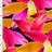SP - NP2679 Love & Leaf - Fuchsia Orange Black | Nylon Spandex Digitally Wet Print - Sportek International Inc.