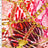 SP - NP2694 Chain Animal Skin Nylon Spandex Digitally Wet Print - Sportek International Inc.